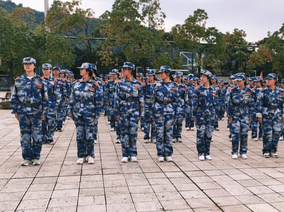 成人直播下载